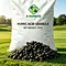 Humic acid granules for soil conditioning and root development